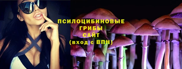 COCAINE Богородицк