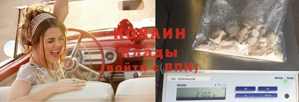 COCAINE Богородицк