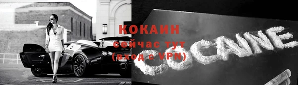 COCAINE Богородицк