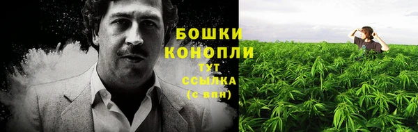 прущая мука Богданович