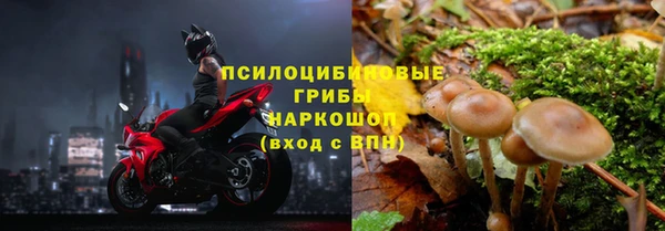 прущая мука Богданович