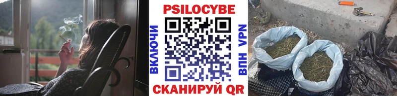 Купить  Струнино  Галлюциногенные грибы Psilocybine cubensis 