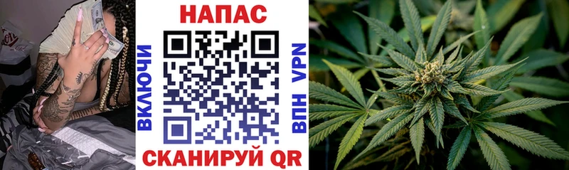 Купить закладки  Струнино  Каннабис LSD WEED 